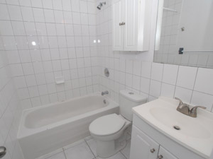 1 Bedroom apartment for rent in TORONTO 