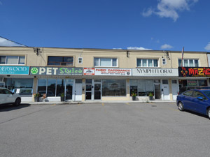 1 Bedroom apartment for rent in ETOBICOKE