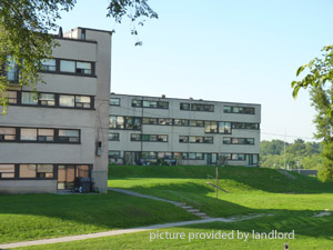 Image ViT 4669