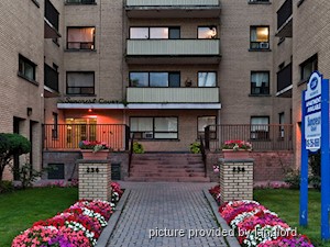 Image ViT 4875