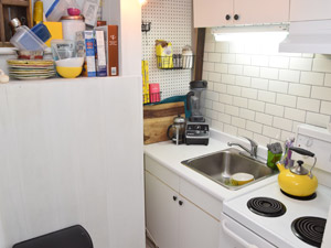 1 Bedroom apartment for rent in TORONTO