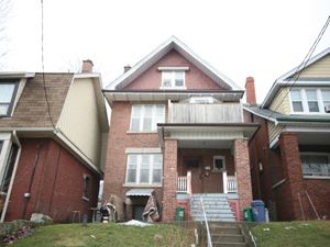 Image ViT 49499