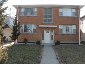 Image ViT 49561