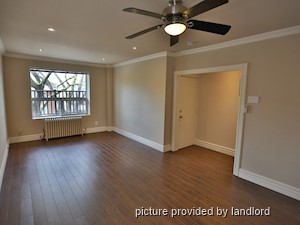 Image ViT 49892