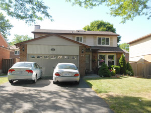 Image ViT 50132
