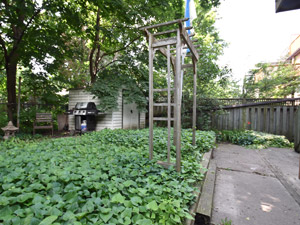 1 Bedroom apartment for rent in TORONTO 