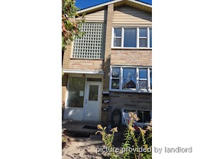 Image ViT 51537