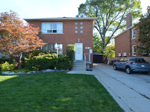 Image ViT 52340