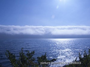 1 Bedroom apartment for rent in Etobicoke