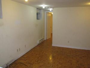 Image ViT 53891
