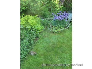 1 Bedroom apartment for rent in SCARBOROUGH