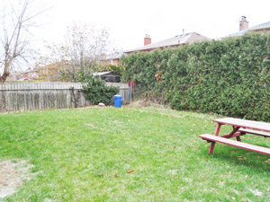 3+ Bedroom apartment for rent in Mississauga  