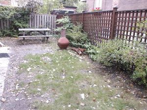 357 Parkside Dr Toronto, 1 bdrm 5