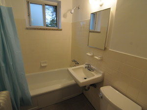1 Bedroom apartment for rent in NORTH YORK   