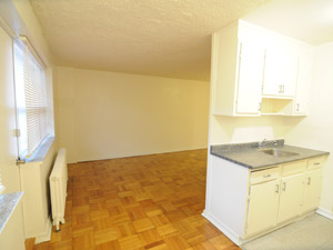 1 Bedroom apartment for rent in NORTH YORK   