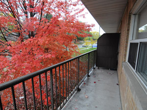 1 Bedroom apartment for rent in NORTH YORK   