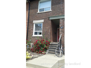 Image ViT 60492