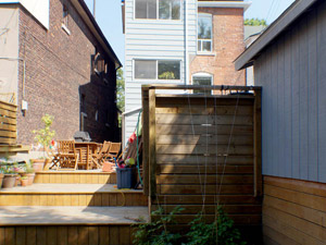 Bachelor apartment for rent in TORONTO