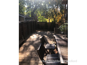 Bachelor apartment for rent in TORONTO