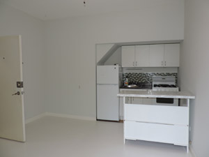 1 Bedroom apartment for rent in TORONTO