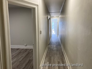 Image ViT 63946