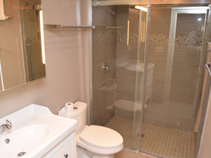 1 Bedroom apartment for rent in TORONTO 