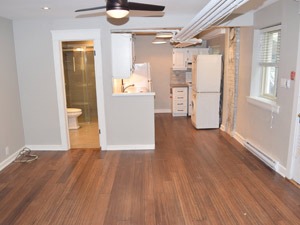 1 Bedroom apartment for rent in TORONTO 