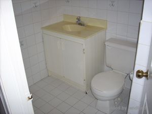 Image ViT 68215