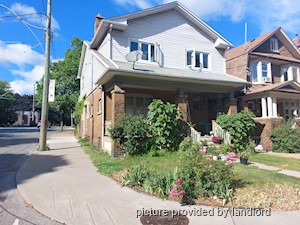 Image ViT 68693