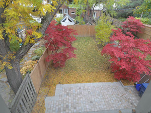 3+ Bedroom apartment for rent in TORONTO