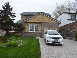 Image ViT 69459