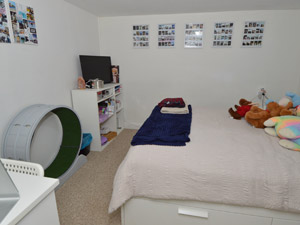 1 Bedroom apartment for rent in Toronto