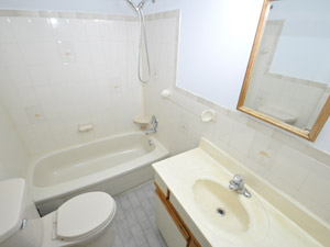 Bachelor apartment for rent in TORONTO