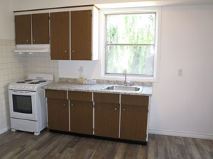 1 Bedroom apartment for rent in TORONTO