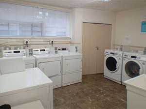 2 Bedroom apartment for rent in ETOBICOKE 