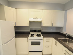 1 Bedroom apartment for rent in TORONTO