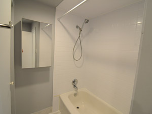 1 Bedroom apartment for rent in TORONTO