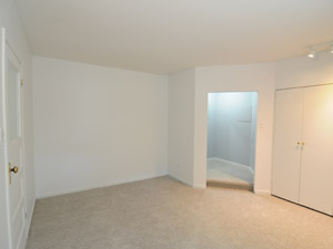 1 Bedroom apartment for rent in TORONTO
