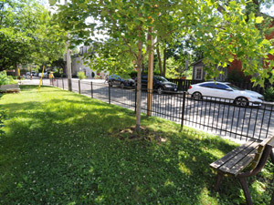 1 Bedroom apartment for rent in TORONTO