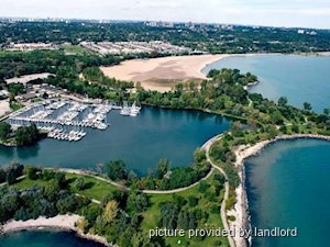 1 Bedroom apartment for rent in TORONTO