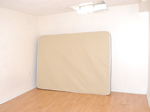 1 Bedroom apartment for rent in SCARBOROUGH 