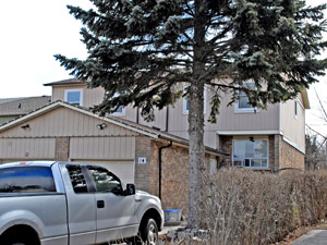 1 Bedroom apartment for rent in SCARBOROUGH 