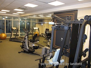 1 Bedroom apartment for rent in RICHMOND HILL