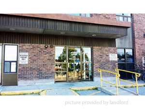 Image ViT 81243