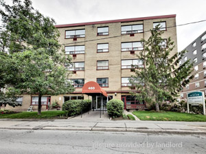 Image ViT 81296