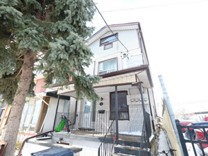 Image ViT 81404
