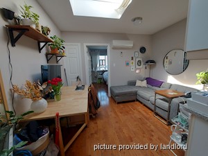 Image ViT 81878