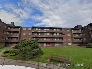 Image ViT 82767