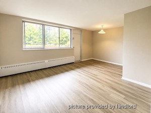 Image ViT 82768