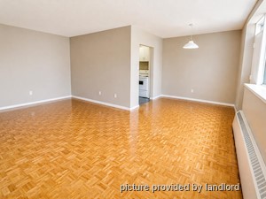 Image ViT 82833